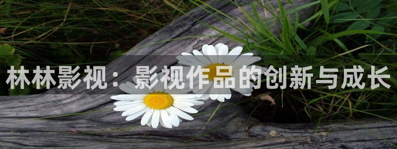 yy4480免费影视